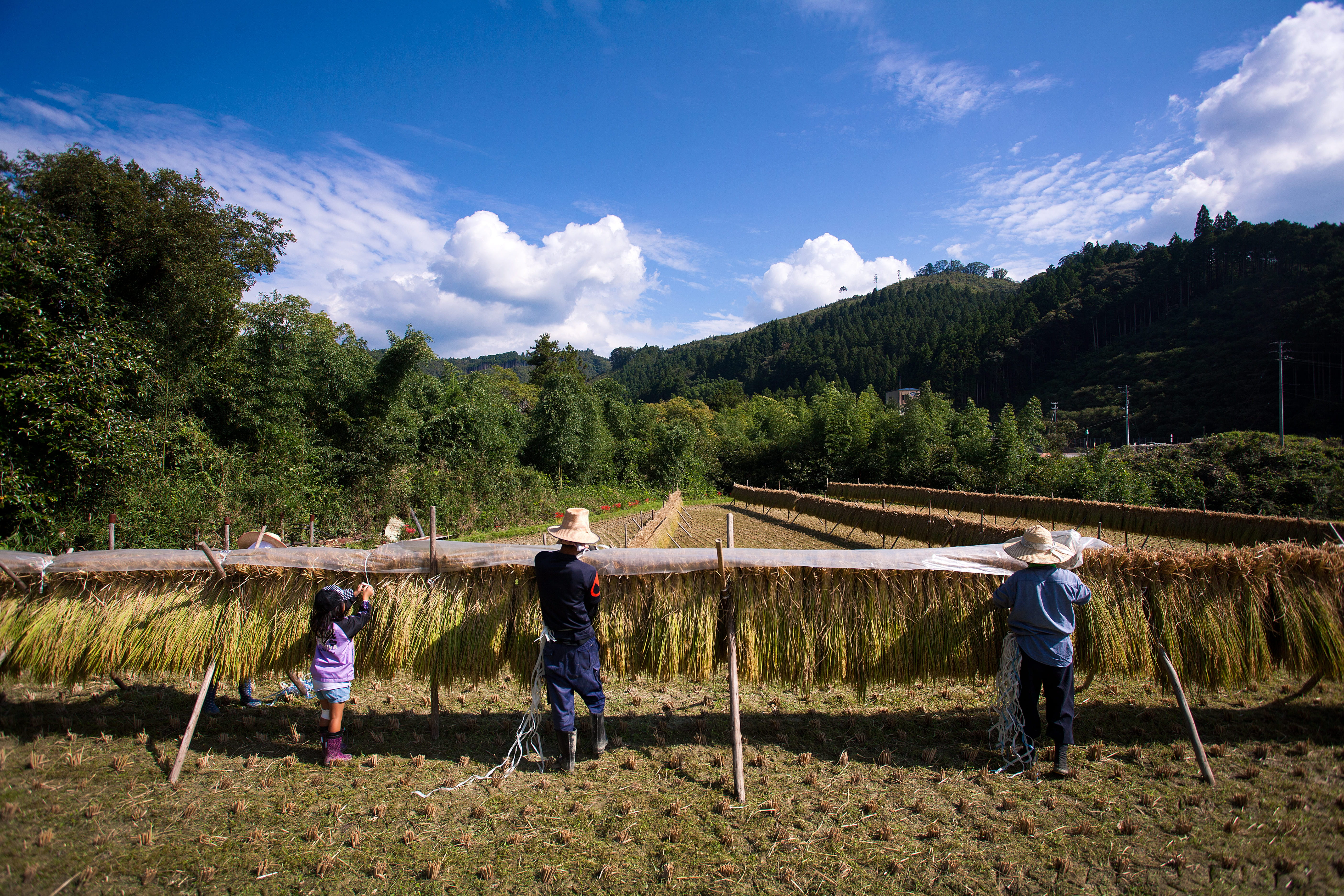 暮らしをつなぐ